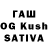 Галлюциногенные грибы GOLDEN TEACHER Lutfullah