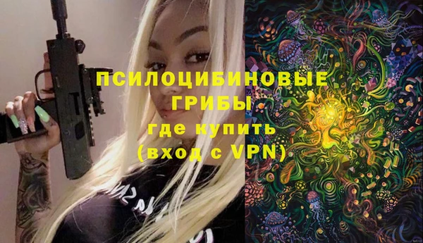 шишки Нязепетровск
