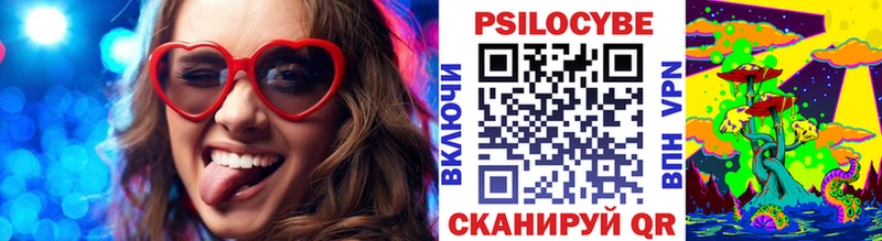 где купить наркотик Новопавловск Галлюциногенные грибы GOLDEN TEACHER