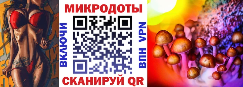 Галлюциногенные грибы Cubensis Новопавловск